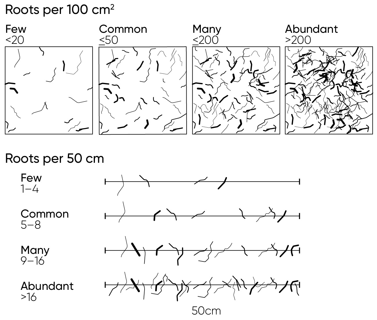 Diagrammatic visual guide to live root counts